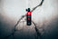 Tabac Wild Ride Eau de Toilette liegt auf gerissenem Boden.